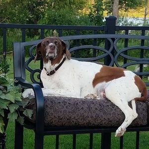 Meet your Posher, Aster